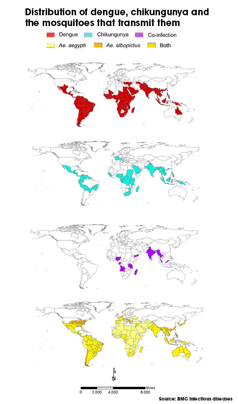 Distribution-of-disease-and-mosquitos
