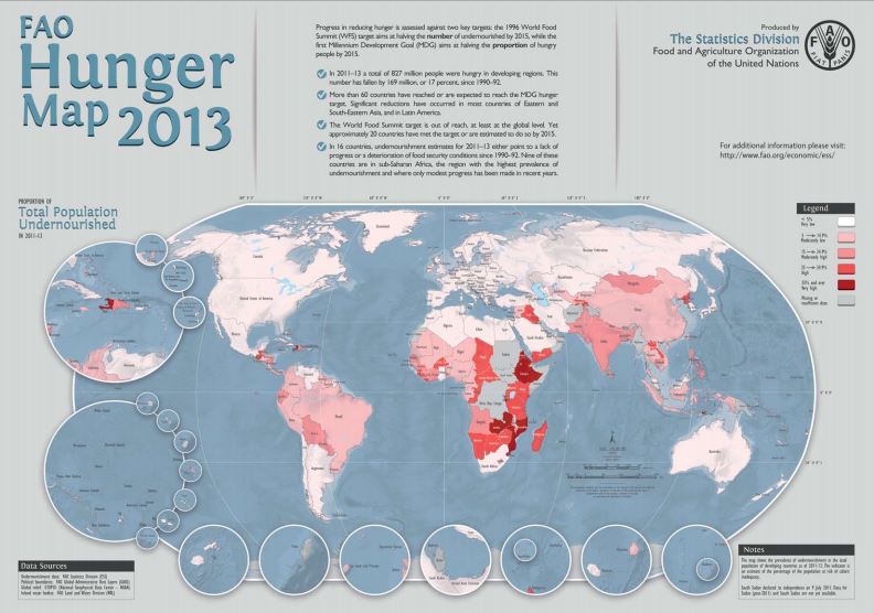 FAO Hunger Map 2013
