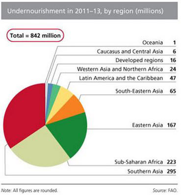 Global distribution of undernourishment_Figure 1_F&F