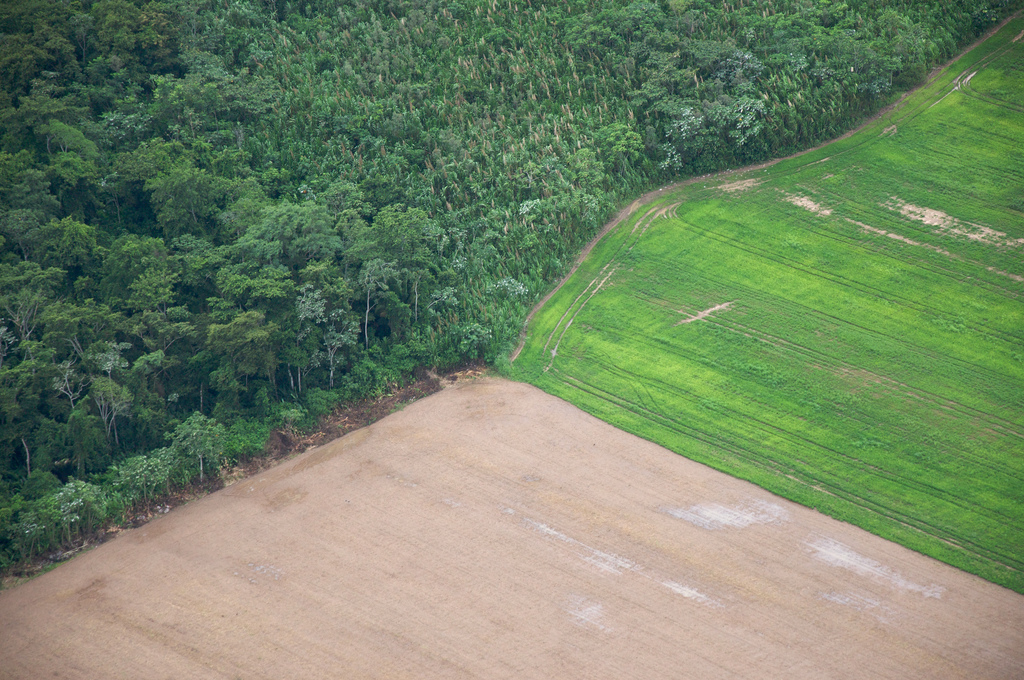 Deforestacion amazonas Sam Beebe Ecotrust Flickr
