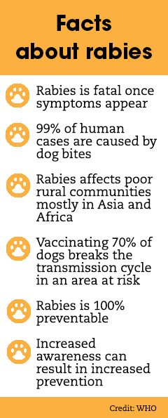 rabies fact