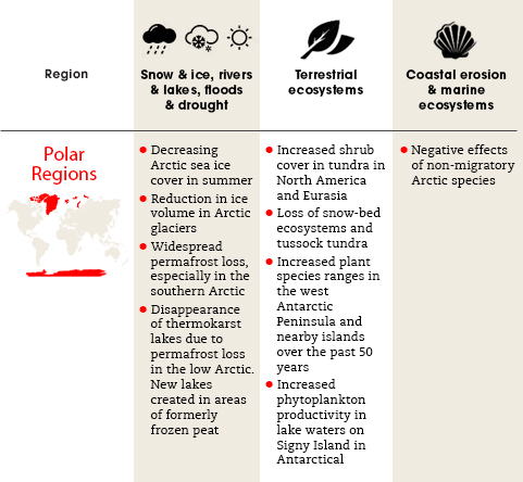 Polar-Regions.jpg