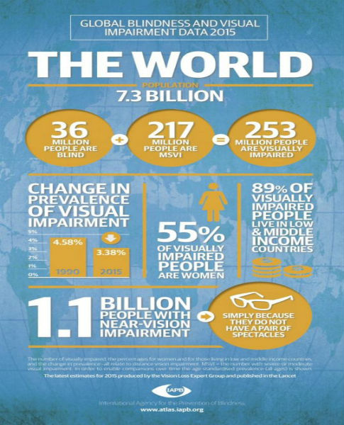 VA-World-Data-Infographic-2-IWB-538x1024