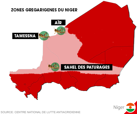 Le point de la situation acridien ne au Niger, en janvier 2017 