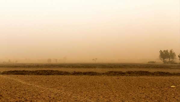 Niger Dust 598