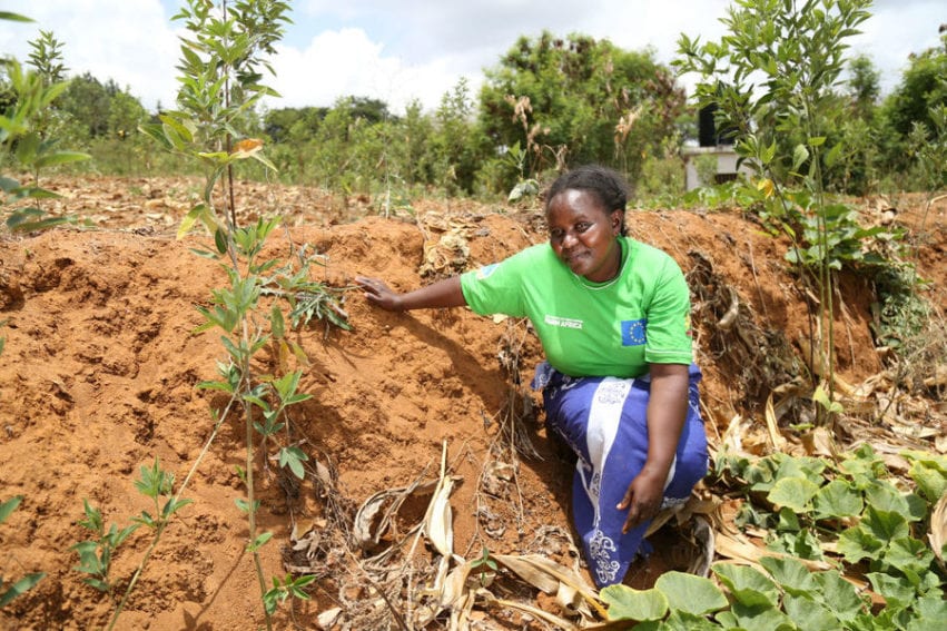 Eunice Kimanzi, qui est l'une des bénéficiaires des formations de Farm Africa, dans sa ferme où elle creuse des tranchées pour la conservation de l'eau.
