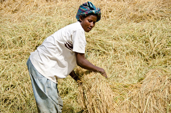 African Woman farming