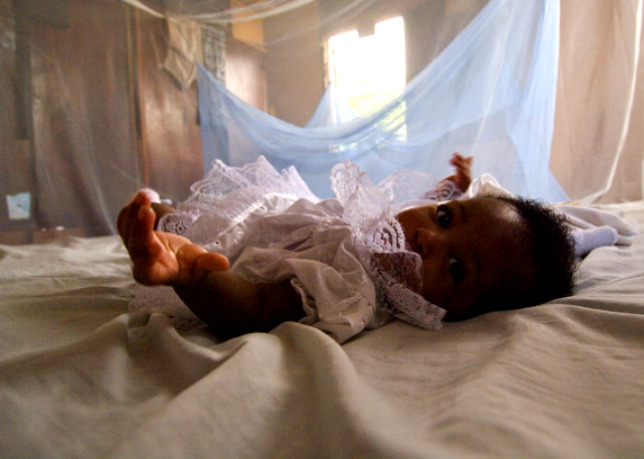 Baby Malaria Bed Net