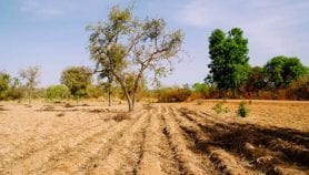 La France lance un projet pour sauver les sols d’Afrique