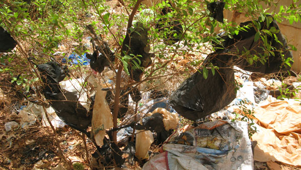 Burkina Plastic Bags_598