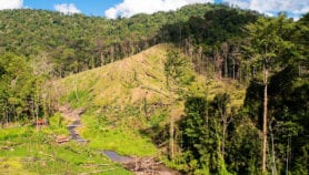 Pertes de biodiversité dans les régions montagneuses