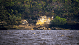 Un fonds pour la mise en valeur du Bassin du fleuve Congo