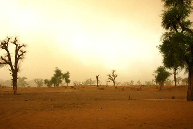 Deforestation Sudan - DÃ©forestation