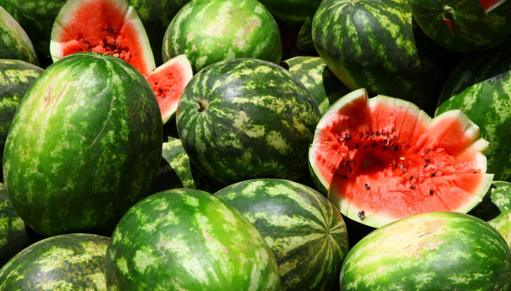 Watermelon