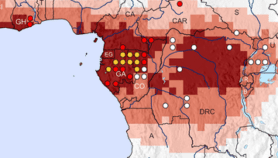 Ebola : une carte redéfinit les zones à risque en Afrique