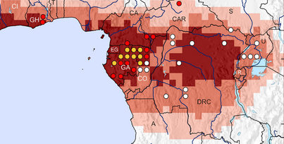 Ebola Map 1