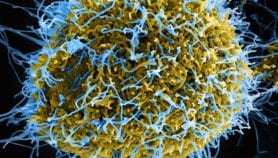 Le virus Ebola: Faits et chiffres