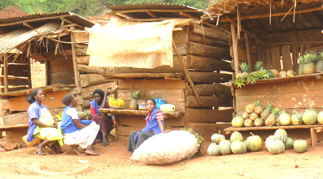 Economic Development Rural
