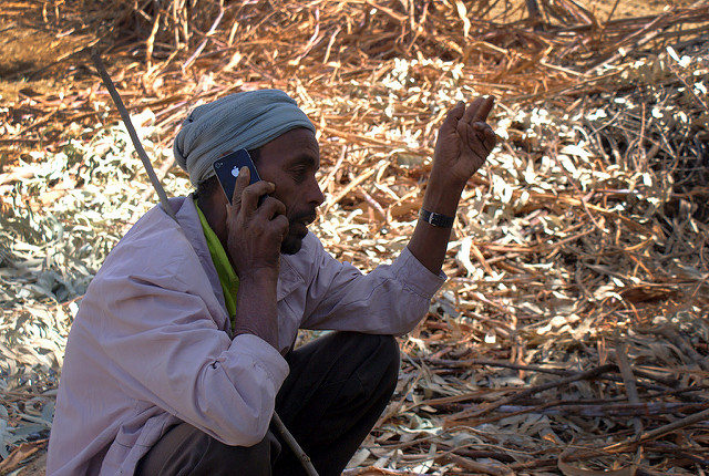 Farmer using cellphone