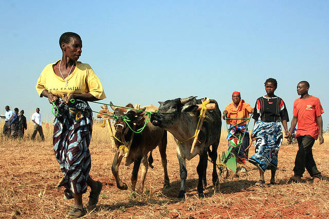 Farming Women Agriculture