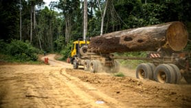 Les accords sur le climat doivent récompenser la gestion globale des forêts