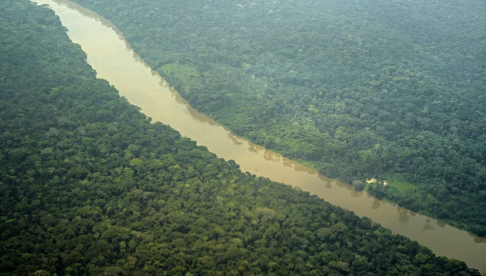Forest surrounds the Congo River