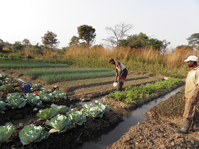 Irrigation in Africa