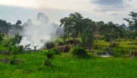 Côte d’ivoire: La guerre, une plaie pour l’environnement