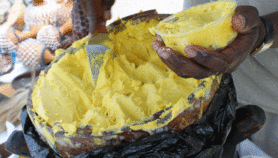Bénin : L’exploitation du beurre de karité dopée par de nouveaux outils