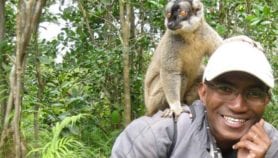 Madagascar: Publication d’un ouvrage scientifique complet sur les lémuriens