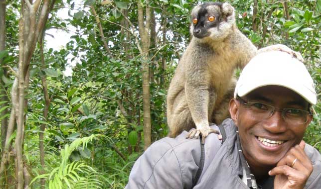 Madagascar Lemur