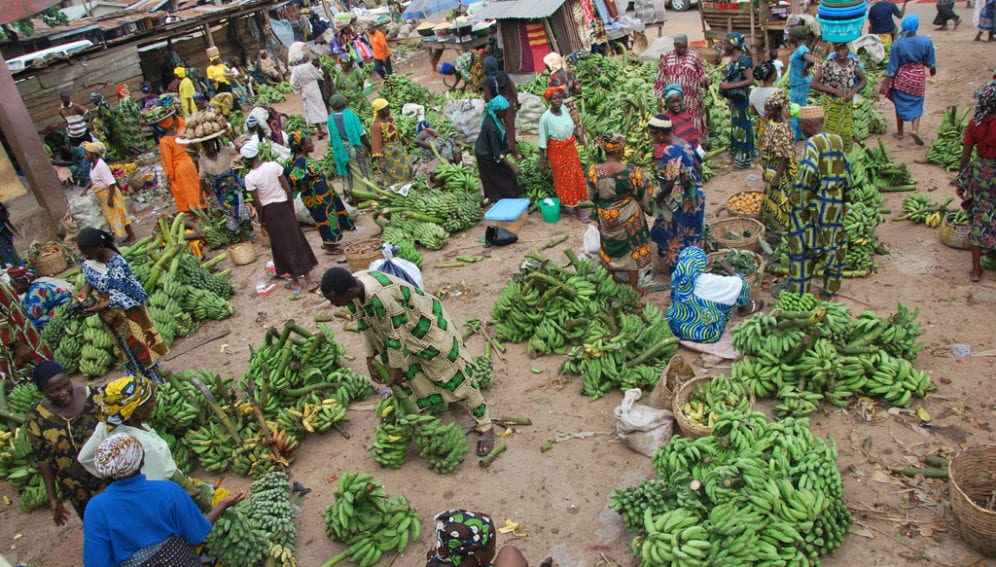 Market_Food security_Key resources_Spotlight IITA