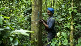 Un nouvel outil pour la bonne gestion durable des forêts