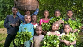 Dix pays africains s’associent pour la protection des forêts tropicales humides
