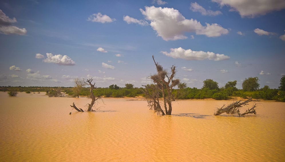Niger Sahel