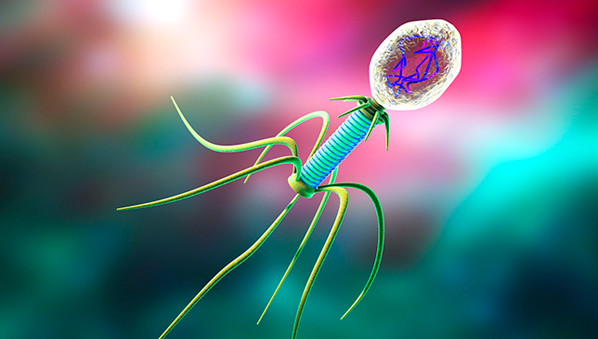 Bacteriophages Article