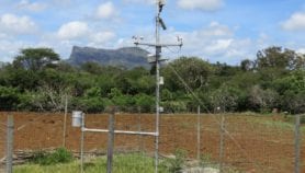 L’île Maurice lance un portail météo pour les agriculteurs