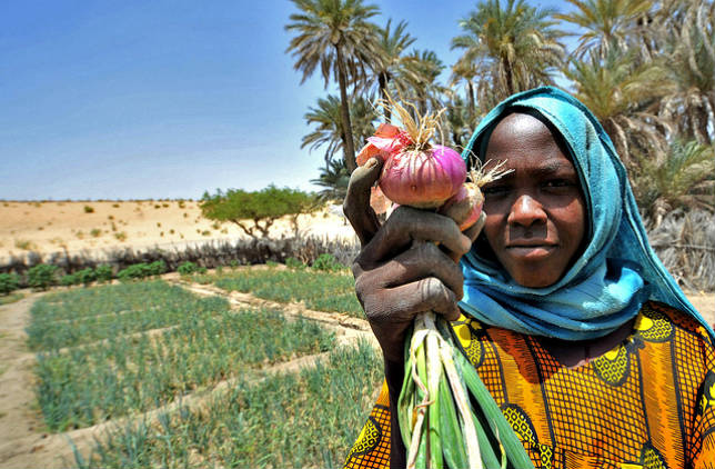 Food Security in Chad