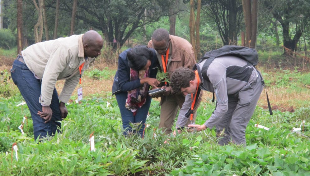 Researchers having a field visit at kabete