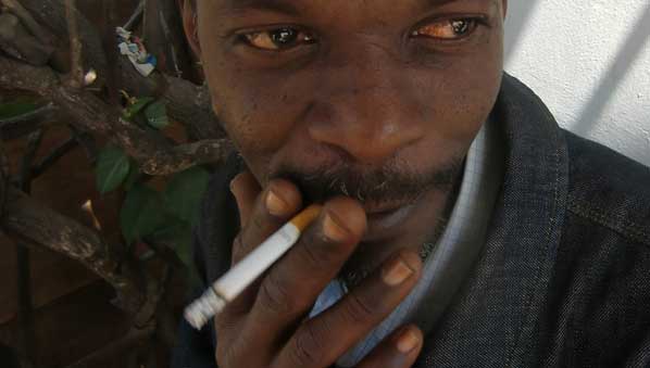 Senegal Smoker - Small
