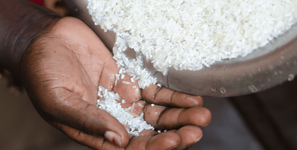 Senegal rice varieties