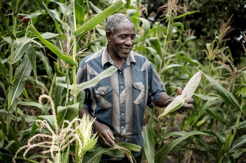 Small scale farmer