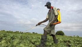 Le péril des herbicides non homologués en Afrique