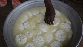 Bénin: La recherche au service de la valorisation du fromage wagashi