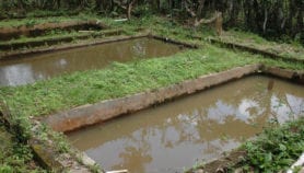 La recherche détient les clés de la gestion de l’eau en Afrique
