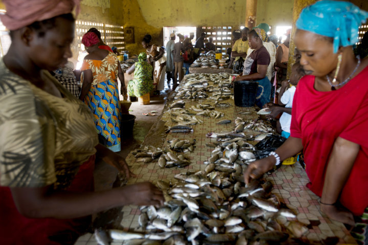 women sellinhg fish