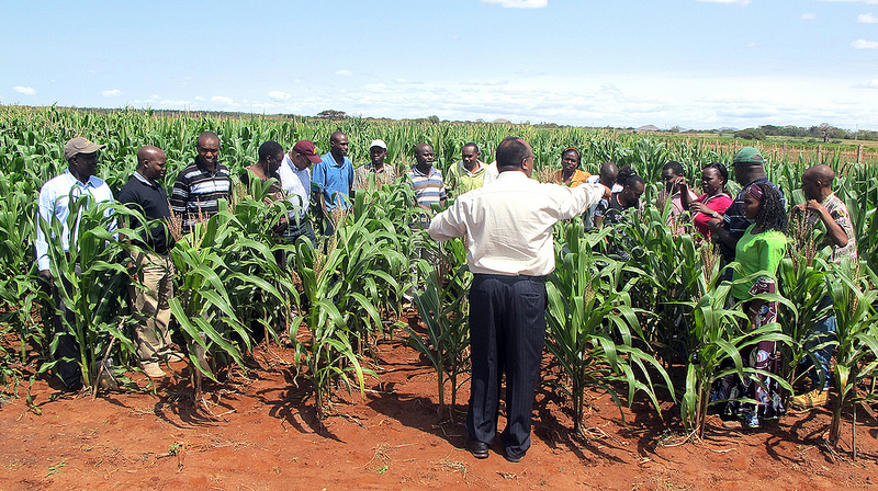 Young researchers visit an agriculture research station in Kenya