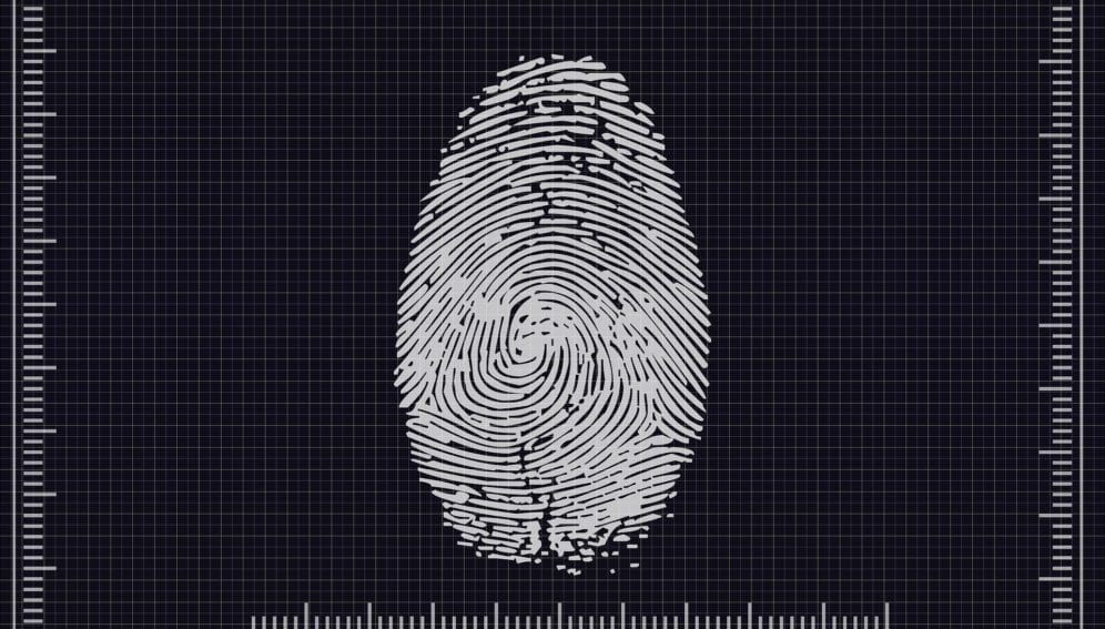 Digital fingerprints