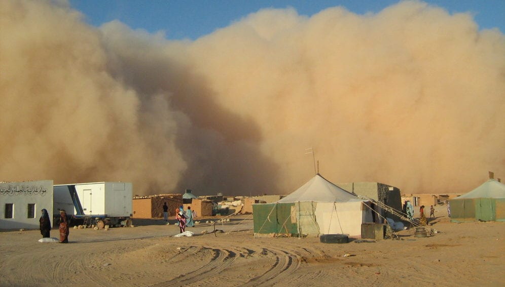 Sahara dust