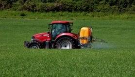 Un pesticide interdit en Europe menace la sécurité alimentaire
